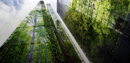 Environment