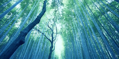 Sustainability approach