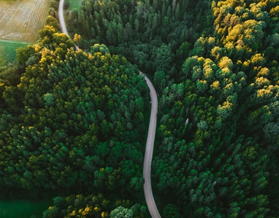 Our sustainability journey