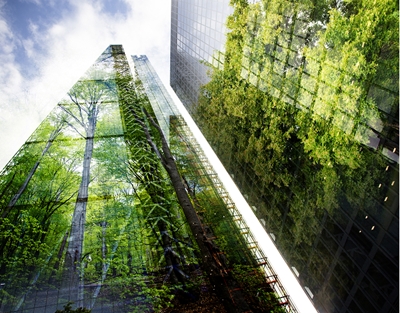 our sustainability journey