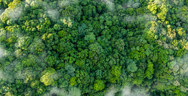 Environmental